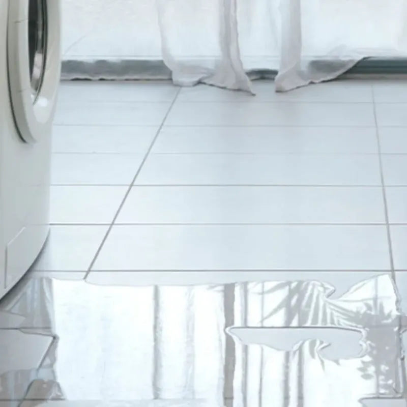Appliance Leak Cleanup in West Lynchburg, VA