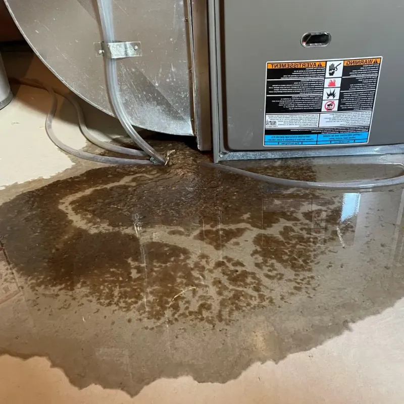 Pipe Burst and Leak Restoration in West Lynchburg, VA
