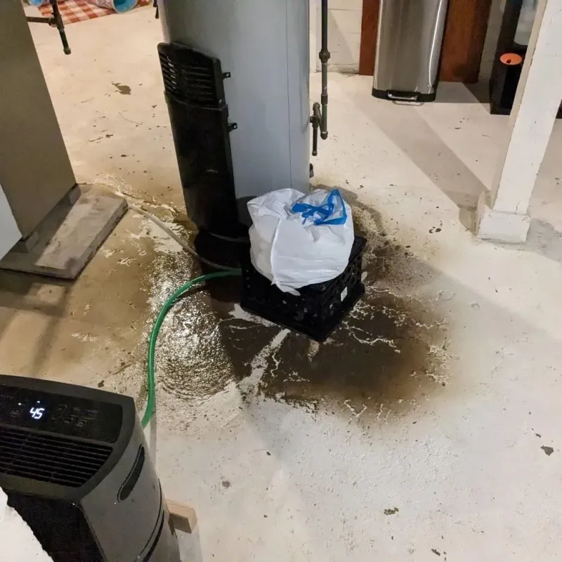 Sewage Backup Cleanup Service in West Lynchburg, VA
